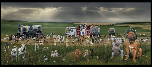 Galerie WWG.CZ - Foto: © Antonín Malý Galerie WWG.CZ - Foto: © Antonín Malý