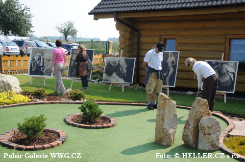 Pohár Galerie WWG.CZ 2011 Pohár Galerie WWG.CZ 2011