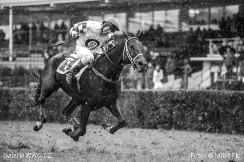 Foto: © Miloš Fic Foto: © Miloš Fic