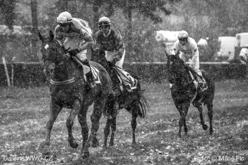 Foto: © Miloš Fic Foto: © Miloš Fic