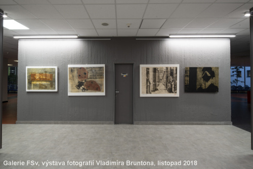 Vladimír Brunton v Galerii FSv - říjen - prosinec 2018