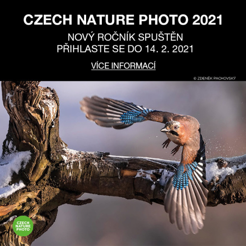CZECH NATURE PHOTO 2021