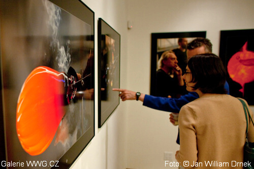 Talking Glass, Bohemian Hall New York, Bořek Šípek, Ondřej Smeykal, Jan William Drnek