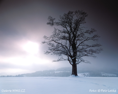 Když cvakne spoušť - Foto: © Petr Leška - Samota