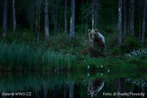 Foto: © Ondřej Prosický