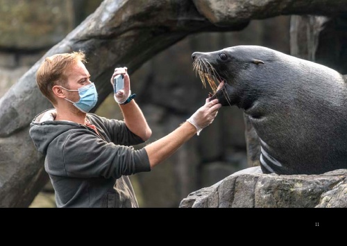 ZTICHLÁ ZOO  Miroslav Bobek a Petr Hamerník, ZOO Praha